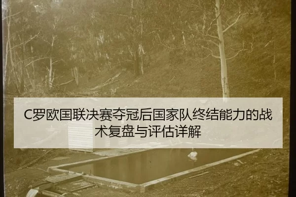 luo-ou-guo-lian-jue-sai-duo-guan-hou-guo-jia-dui-zhong-jie-neng-li-de-zhan-shu-fu-pan-yu-ping-gu-xiang-jie-2-900.jpg